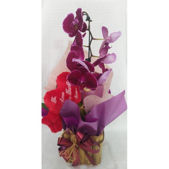 ORQUIDEA CASCATA 