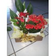 Vasos plantados, Antúrio, Kalandiva no lindo Cachepo de madeira 